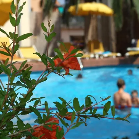 Hotel Coccodrillo & 3*