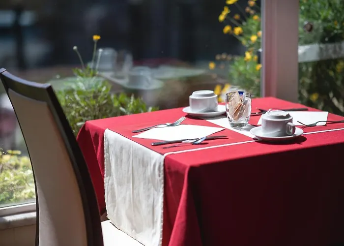 Coccodrillo & Hotel Varazze