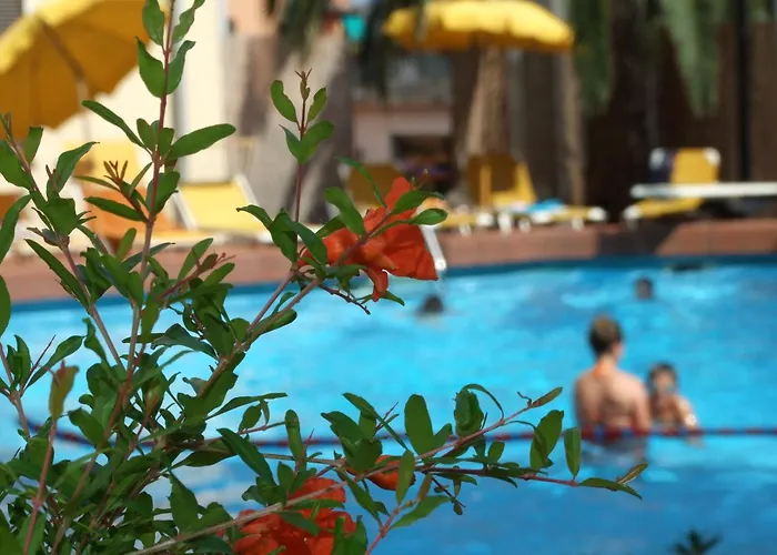 Hotel Coccodrillo & 3*